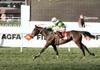 horserace1.jpg